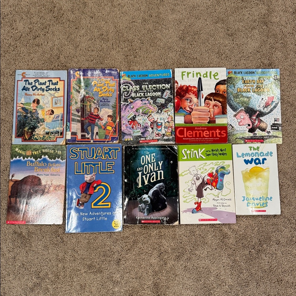 Chapter Books Bundle